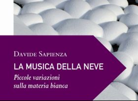 Libro di Davide Sapienza.